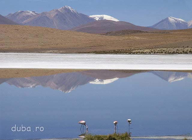 Laguna Blanca