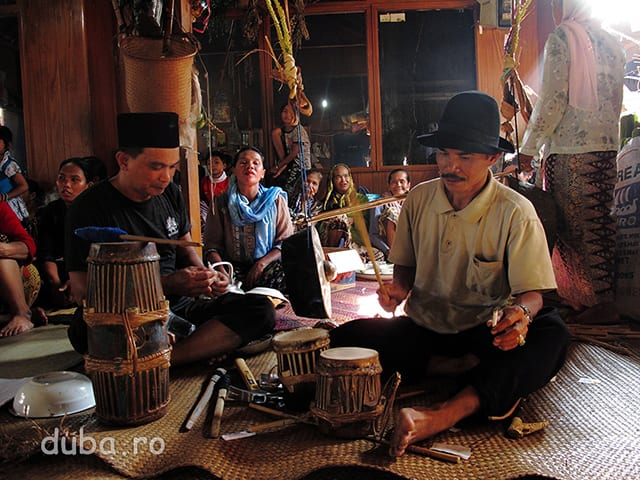 Tobele (babon stanga, kulampat dreapta) si gongul din spate (gendang) dau ritm ceremoniei si satului timp de 6 zile si 6 nopti.