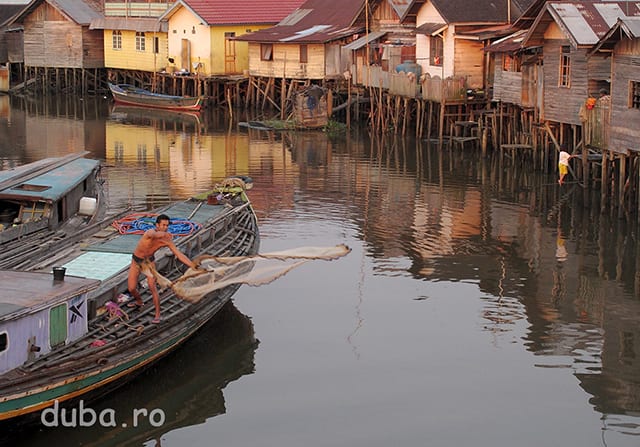 Un pescar arunca plasa, pe un brat al lui Barito. Deseori am vazut modul asta de pescuit in Kalimantanul de Sud. Se foloseste o plasa tivita cu cu plumbi (sau alte greutati).