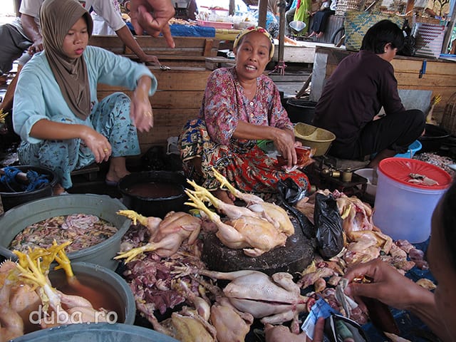 Ayam kampung - pui de tara, in piata din Marabahan. Si in Indonezia lumea incepe sa aprecieze carnea "de la tara" fata de cea din supermarket.
