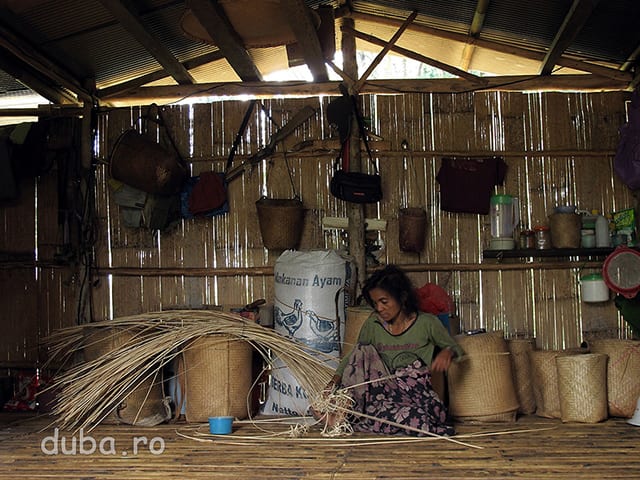 Una dintre indeletnicirile de baza ale femeilor, pe langa gospodarit, este impletitul de cosuri si rogojini din ratan sau bambus. Impletiturile sunt printre putinele produse pe care dayacii le pot vinde in satele de jos. Impletiturile din bambus sunt mai ieftine, dar cele din ratan tin mai mult, iar rogojinile din ratan tin mai bine de cald decat cele din bambus.